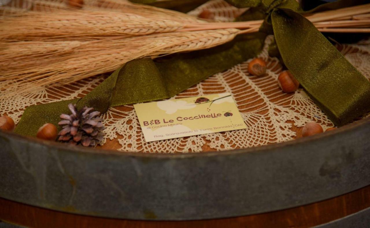 B&B Le Coccinelle Torre Bormida Luaran gambar